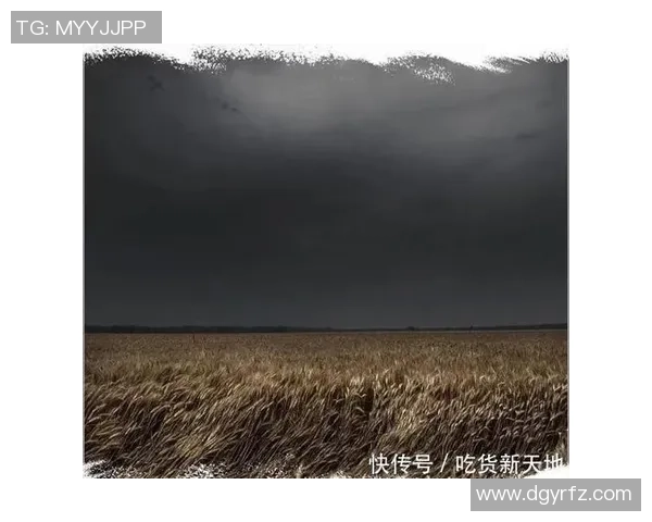 张军的排球人生：从赛场到人生的深度对话与思考