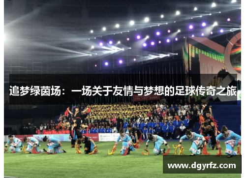 追梦绿茵场：一场关于友情与梦想的足球传奇之旅