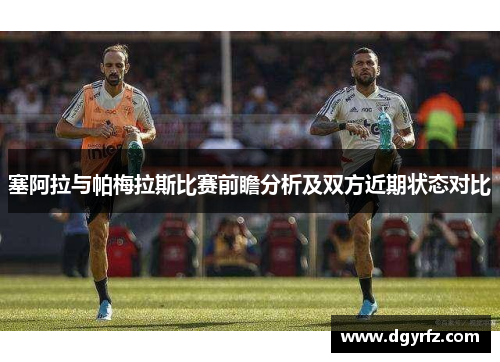 塞阿拉与帕梅拉斯比赛前瞻分析及双方近期状态对比